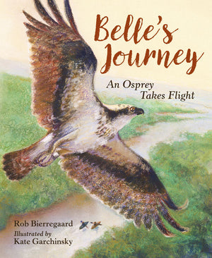 Belle's Journey: An Osprey Takes Flight book cover