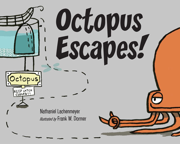 Octopus Escapes!